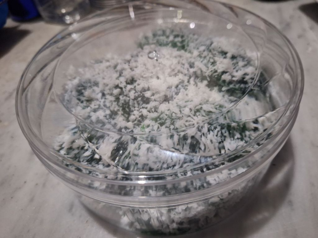 20260320_2008044455309869236798794